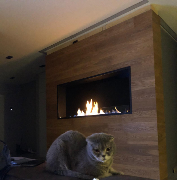 Встраиваемый биокамин Firezo Classic 1200