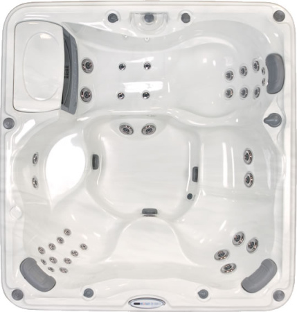 Спа бассейн Sundance Spas Certa